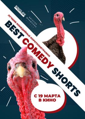 Best Comedy Shorts (2020)