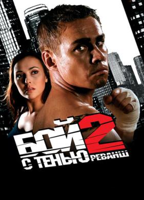 Бой с тенью 2: Реванш (2007)