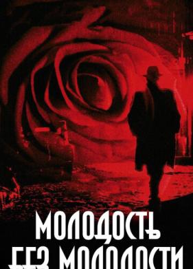 Молодость без молодости (2007)