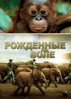 Рожденные на воле (2011)