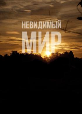 Невидимый мир (2012)