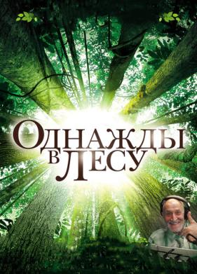 Однажды в лесу (2013)