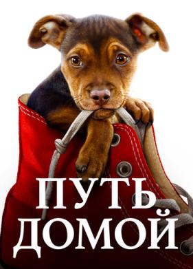 Путь домой (2019)