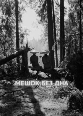 Мешок без дна (2017)