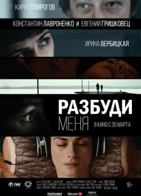 Разбуди меня (2016)