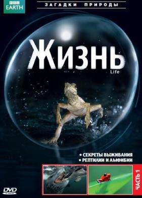 BBC: Жизнь (2009)