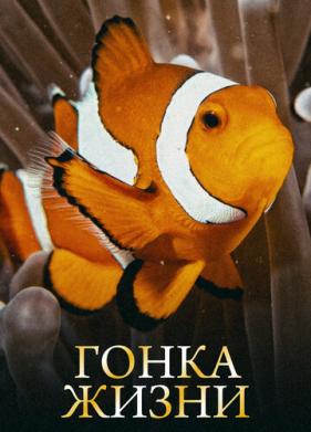 Гонка жизни (2015)