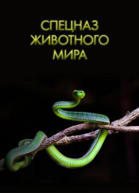 Спецназ животного мира (2018)