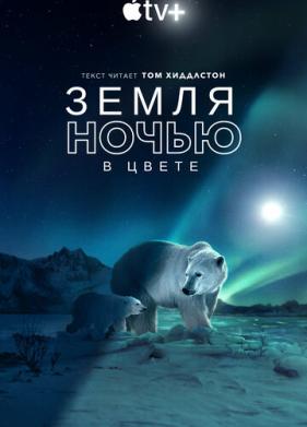 Земля ночью в цвете (2020)