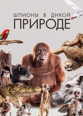 Шпионы в дикой природе (2017)