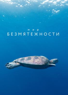 Мир безмятежности (2020)